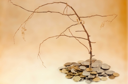 Từ biệt chi phí chìm, lựa chọn sáng suốt