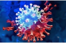 Kết quả giải trình tự gene Covid-19 của Hà Nội và 2 tỉnh