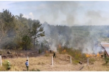 Việt Nam: Rừng thông ở Quảng Nam cháy lớn nhiều giờ