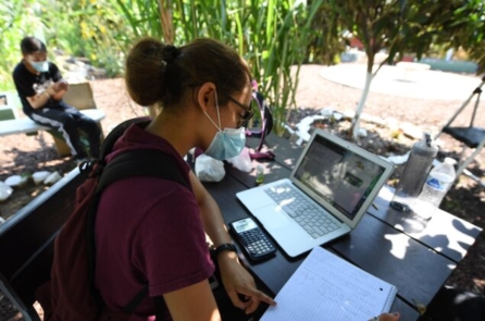 5 cách tối ưu hóa việc học trực tuyến