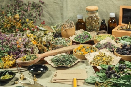 Khiêm nhường và tử tế khiến con người dễ dàng đạt đến cảnh giới thiên nhân hợp nhất