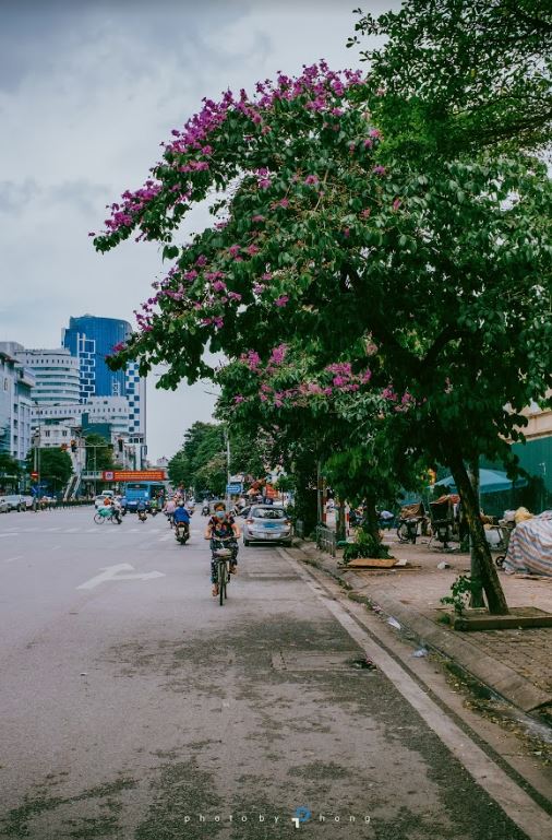 Góc phố Hà Nội