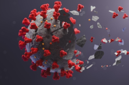 Bác sĩ Hoa Kỳ: HCQ điều trị Covid-19 sớm mang lại hiệu quả