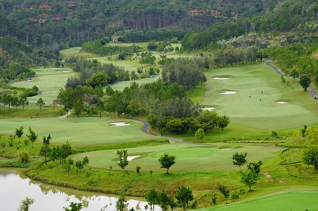 Câu chuyện trồng hoa