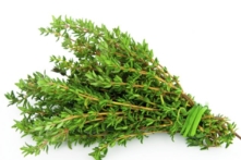 Thảo dược chữa ho, giảm đau và thanh lọc không khí được người Tây phương ưa chuộng