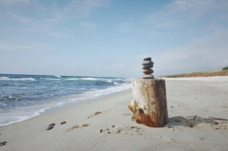 Thay đổi cuộc đời nhờ tầm nhìn và lối sống tối giản