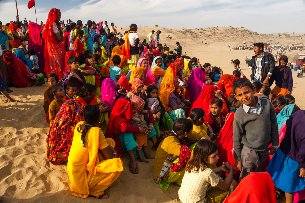 ‘Những con tàu của sa mạc’: Khám phá những điều kỳ thú về lạc đà ở Ấn Độ