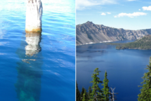 Một thân cây bí ẩn đã trôi nổi thẳng đứng trong hơn 120 năm