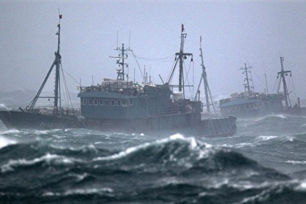 Một lượng lớn tàu đánh cá Trung Quốc ‘ẩn náu’ trong vùng biển Argentina