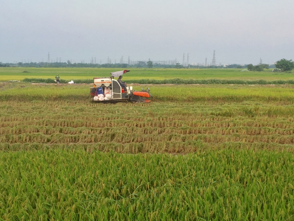 việt nam Nắng khắp 3 miền