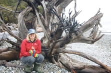 ‘Có trí tuệ cao’: Hành trình nhà khoa học lâm nghiệp khám phá cách giao tiếp của cây cối