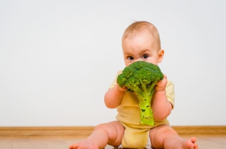 Bông cải xanh có công dụng điều trị chứng viêm não do tự kỷ