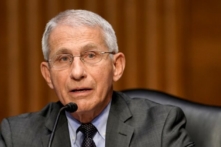 Ông Fauci: Số lượng virus COVID-19 trong các ca nhiễm đột phá và các ca chưa chích ngừa ‘gần như bằng nhau’