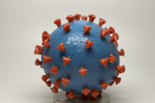 Nguồn gốc bí ẩn của COVID-19 làm dấy lên một vài khả năng đáng báo động