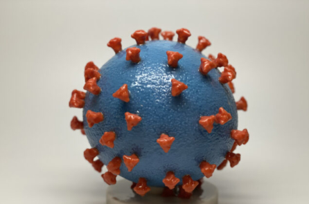 Nguồn gốc bí ẩn của COVID-19 làm dấy lên một vài khả năng đáng báo động