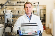 Các nhà khoa học tìm thấy cơ chế tái tạo tứ chi và các cơ quan