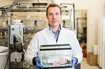 Các nhà khoa học tìm thấy cơ chế tái tạo tứ chi và các cơ quan