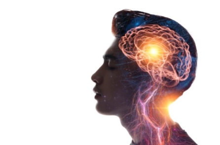 5 hợp chất tự nhiên bảo vệ não bộ