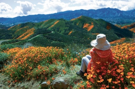 Tối giản công nghệ kỹ thuật số giúp bạn lấy lại thời gian và cuộc sống