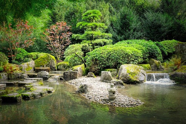 Nhật Bản ám ảnh với loài rêu