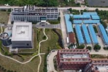 Nhóm Thượng nghị sĩ lưỡng đảng yêu cầu ‘đánh giá kỹ lưỡng’ việc tài trợ của Hoa Kỳ cho nghiên cứu virus của Trung Cộng