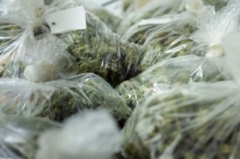 Người Trung Quốc sử dụng các ứng dụng mạng xã hội trong kế hoạch rửa tiền từ cần sa