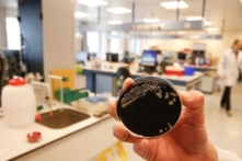 Illinois, Michigan, Rhode Island: Số ca bệnh Legionnaire tăng vọt