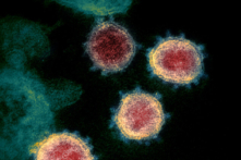 CDC: Biến thể Delta chiếm hơn một nửa trường hợp COVID-19 tại Hoa Kỳ