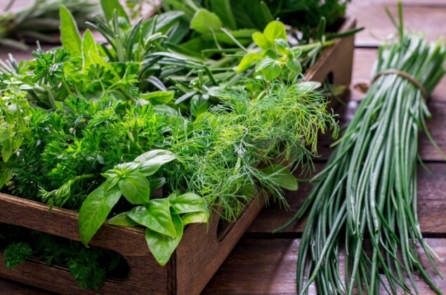 Kỳ nghỉ mùa hè đã chạm ngõ, và thảo mộc đang xanh tốt trong vườn nhà