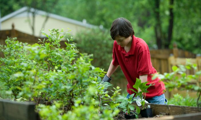 Dạy con những bài học quý giá từ việc làm vườn