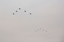 Vì sao Trung Cộng chỉ có 15 oanh tạc cơ J-20 biểu diễn trong ‘đại lễ trăm năm’?