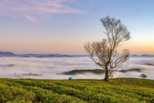 Gửi thế hệ tương lai: Khi người già học được từ những người trẻ