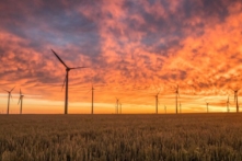 Sự trở lại của chính sách trợ cấp doanh nghiệp