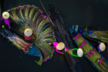 Những bức ảnh đẹp nao lòng về thu hoạch hoa súng ở Đồng bằng sông Cửu Long