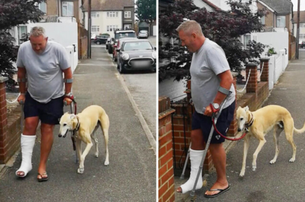 Video chú chó giả vờ khập khiễng giống chủ lan truyền trên mạng xã hội