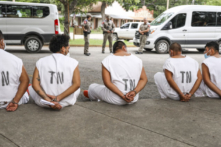 Họ đang đi đâu vậy?