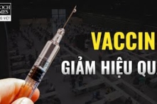 Báo cáo CDC: ‘Bằng chứng đáng quan ngại’ về hiệu quả của vắc-xin Covid trước biến chủng Delta