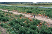 Nông dân khóc ròng vì đề nghị thuế thừa kế tài sản của Tổng thống Biden