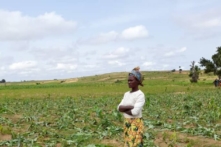 Khủng bố Fulani gây ra chiến tranh lương thực ở miền Bắc Nigeria