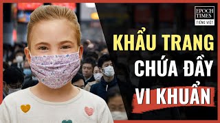 Texas chi 250 triệu USD cho bức tường biên giới; TT. Trump sẽ đến thăm biên giới Texas