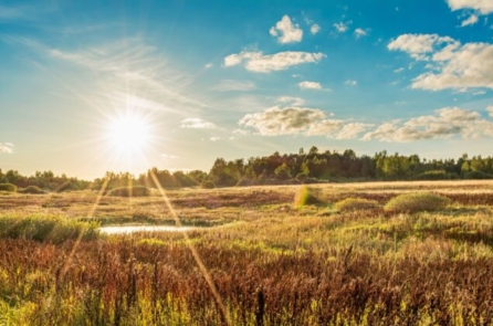 Sống hòa hợp với mùa thu