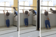 Chú mèo nhanh trí ‘cứu mạng’ cậu bé mới biết đi