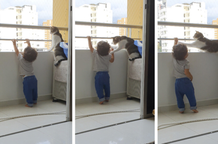 Chú mèo nhanh trí ‘cứu mạng’ cậu bé mới biết đi