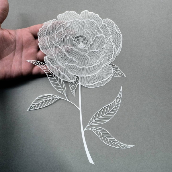 Nghệ sĩ cắt giấy tạo ra những tác phẩm nghệ thuật tinh mỹ bằng lưỡi dao mỏng