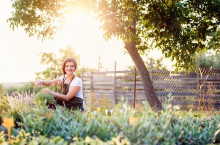 Tôn vinh cái đẹp: Chúng ta góp phần tạo nên những điều tốt đẹp