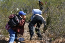 Texas: 40 phần trăm người nhập cư bất hợp pháp được thả dương tính với COVID-19