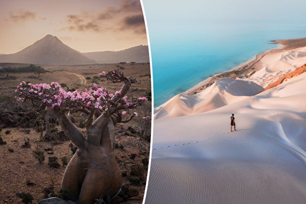 Chùm ảnh: Đảo Socotra – kỳ quan nổi tiếng thế giới