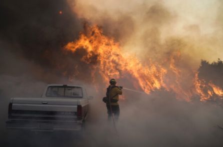 Mối liên hệ giữa gia tăng ca nhiễm và tử vong do COVID-19 và khói do cháy rừng