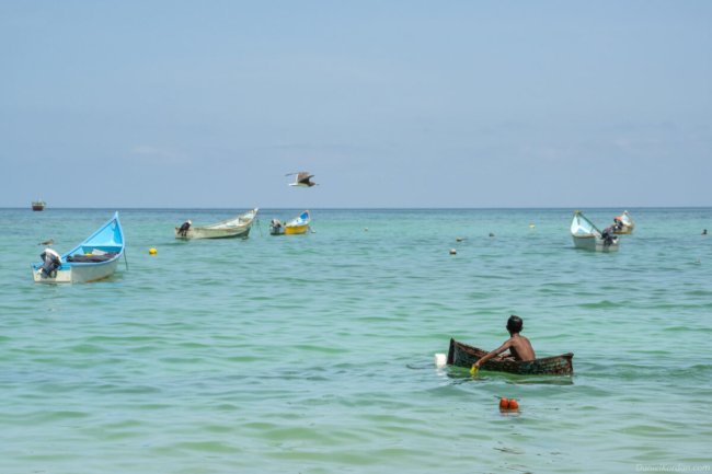 đảo Socotra của Yemen