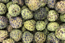 Đài Loan dọa kiện Trung Quốc lên WTO trong cuộc tranh luận mới về trái cây